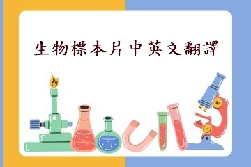 生物標本片中英文翻譯1-25