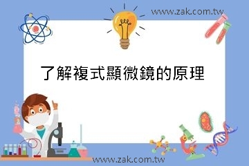 了解複式顯微鏡的原理 了解複式顯微鏡的原理